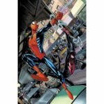 LOS ESPECTACULARES SPIDERMEN 01